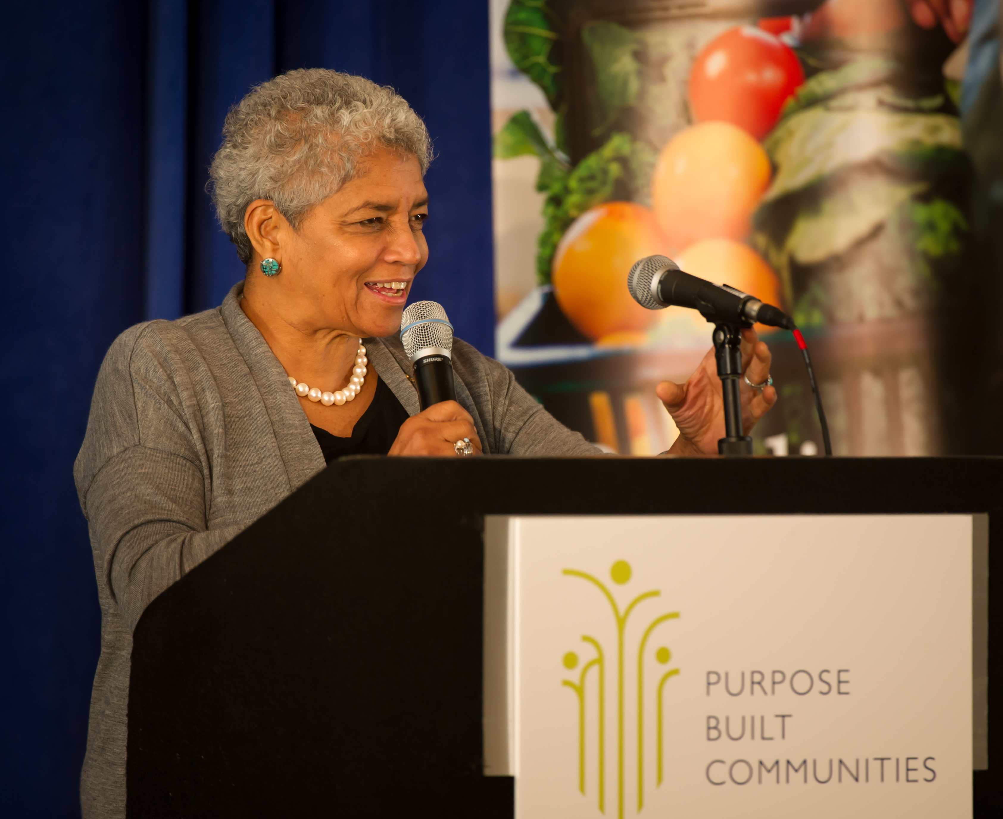 Photos from 2015 Purpose Built Communities Conference Purpose Built